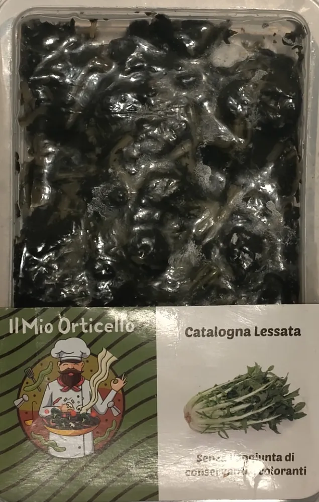 Catalogna lessata