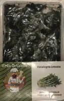 Catalogna lessata