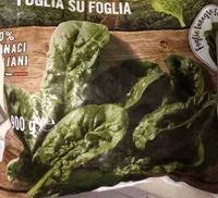 Spinaci foglia su foglia