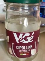 Cipolline