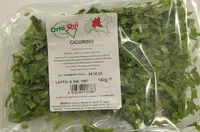 Cicorino