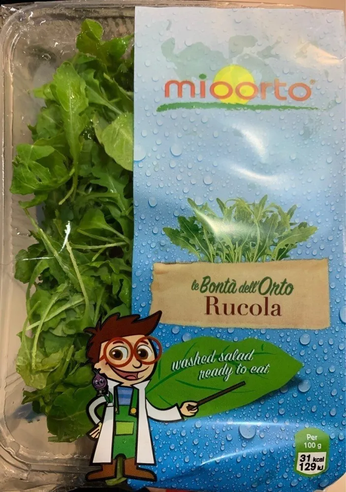 Rucola