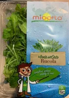 Rucola