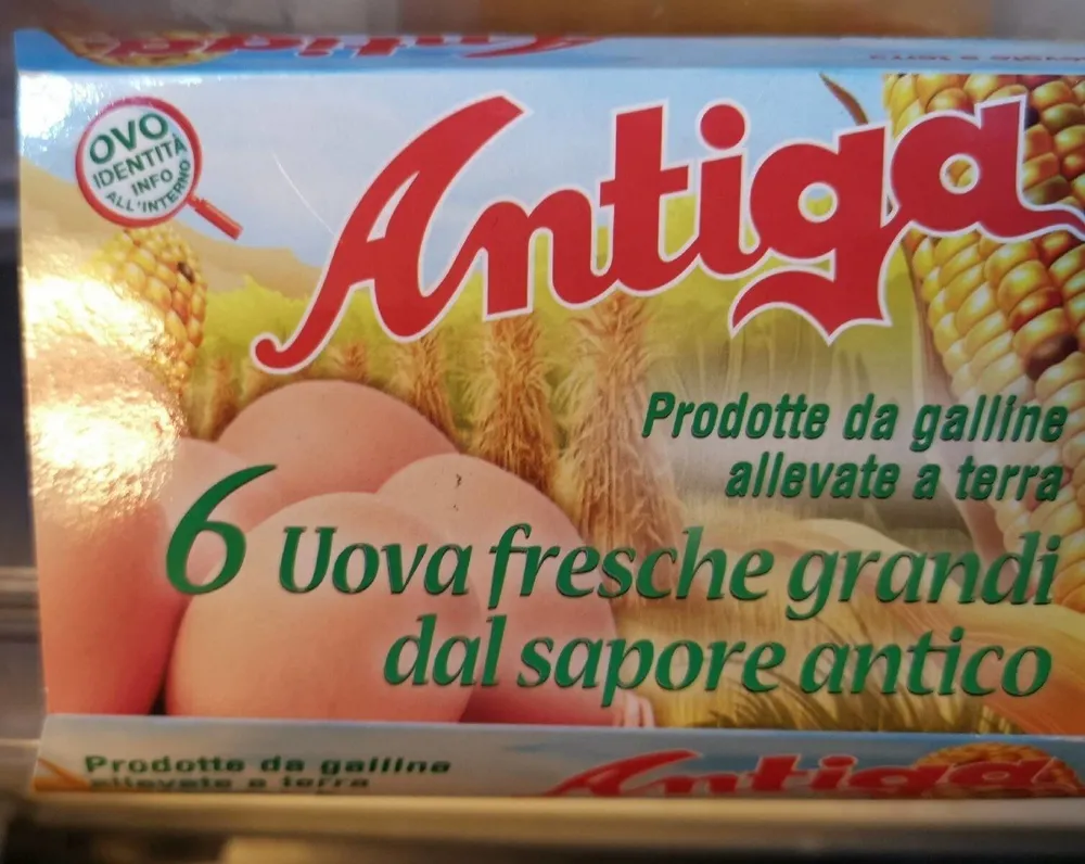 Antiga 6 uova fresche grandi Cat A