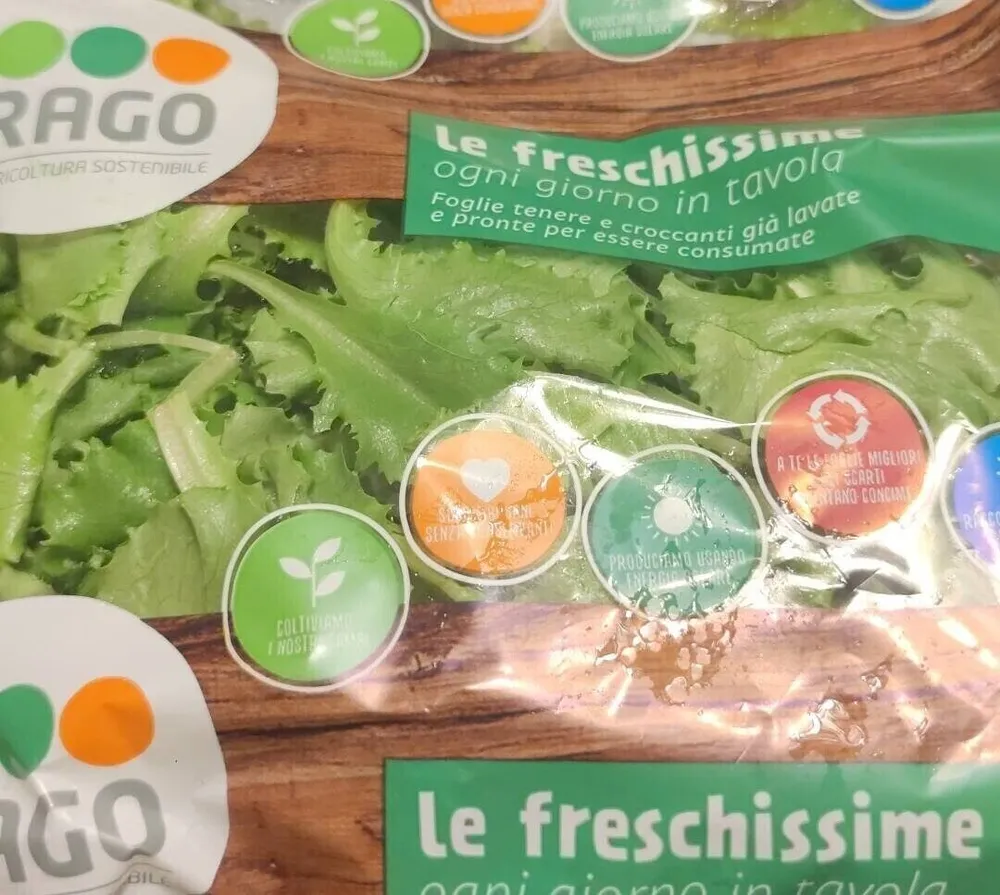 Lattughino Verde