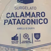 Calamaro patagonico