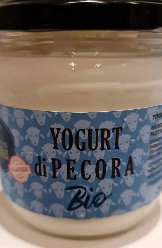 Yogurt di pecora bio