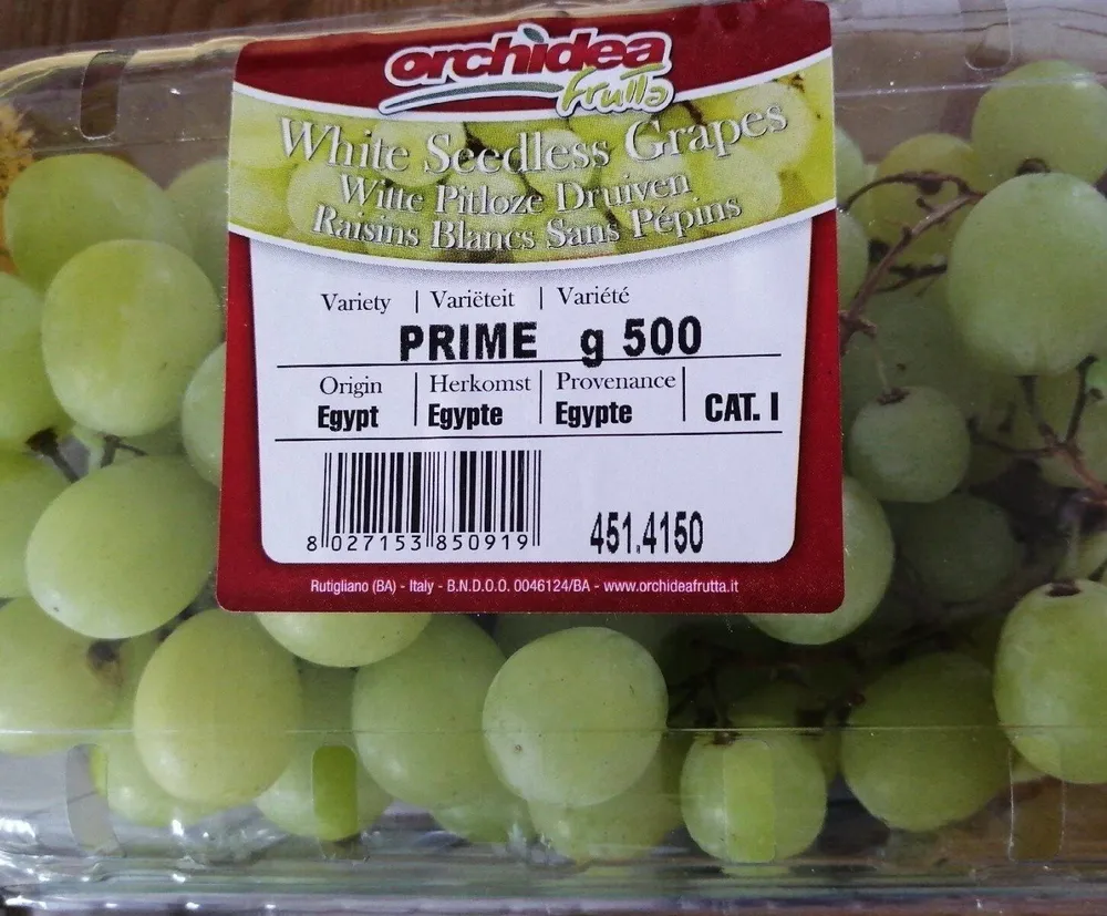 Raisin blanc
