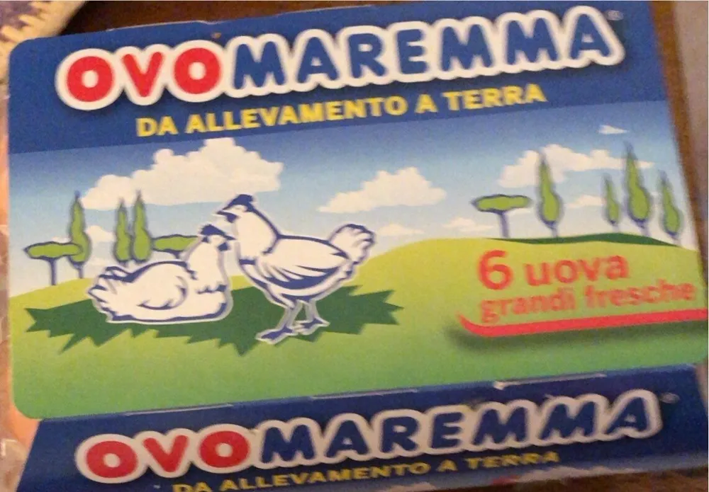 eggs