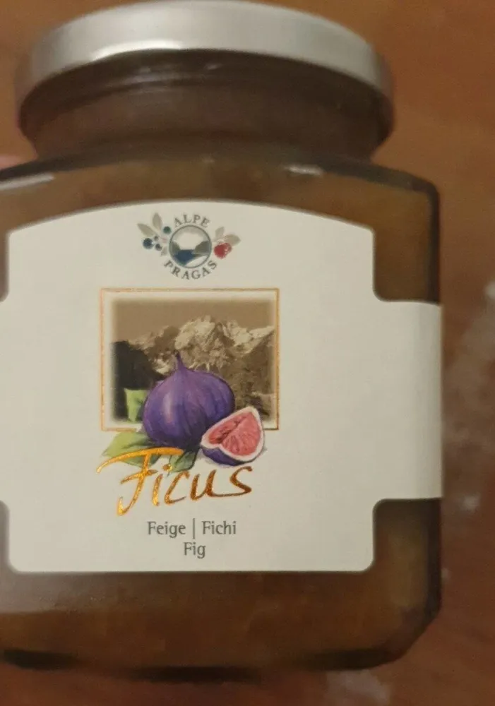 Ficus