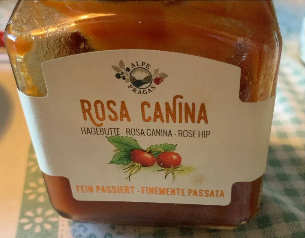 Rosa canina