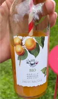 Fruit Nectar Albicocca