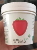 Sorbetto Bio Lamponi