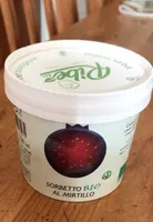 Sorbetto bio al mirtillo