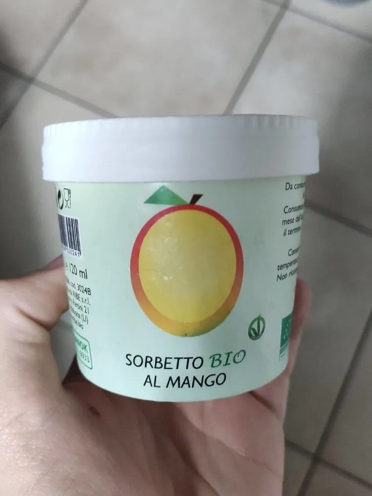 Sorbetto bio al mango