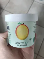 Sorbetto bio al mango