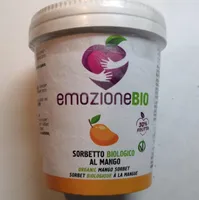 Sorbetto biologico al mango