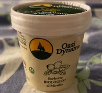 Sorbetto BIOLOGICO al Mirtillo