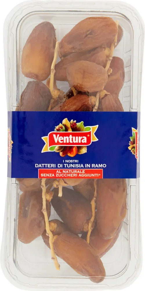 Datteri Deglet Nur di Tunisia in ramo