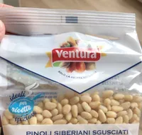 pinoli siberiani sgusciati