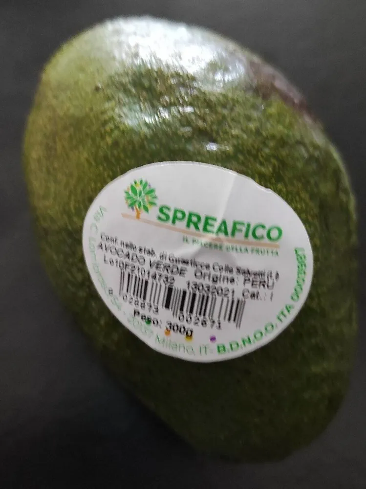Avocado verde