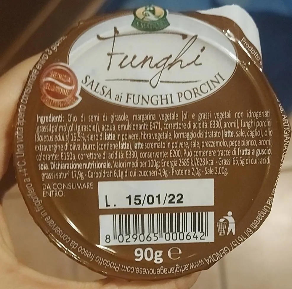 Salsa ai funghi porcini