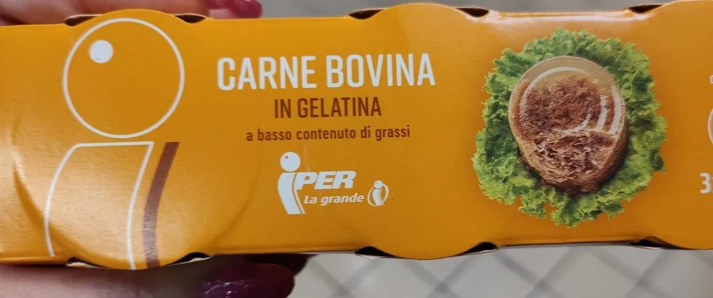 Carne in gelatina