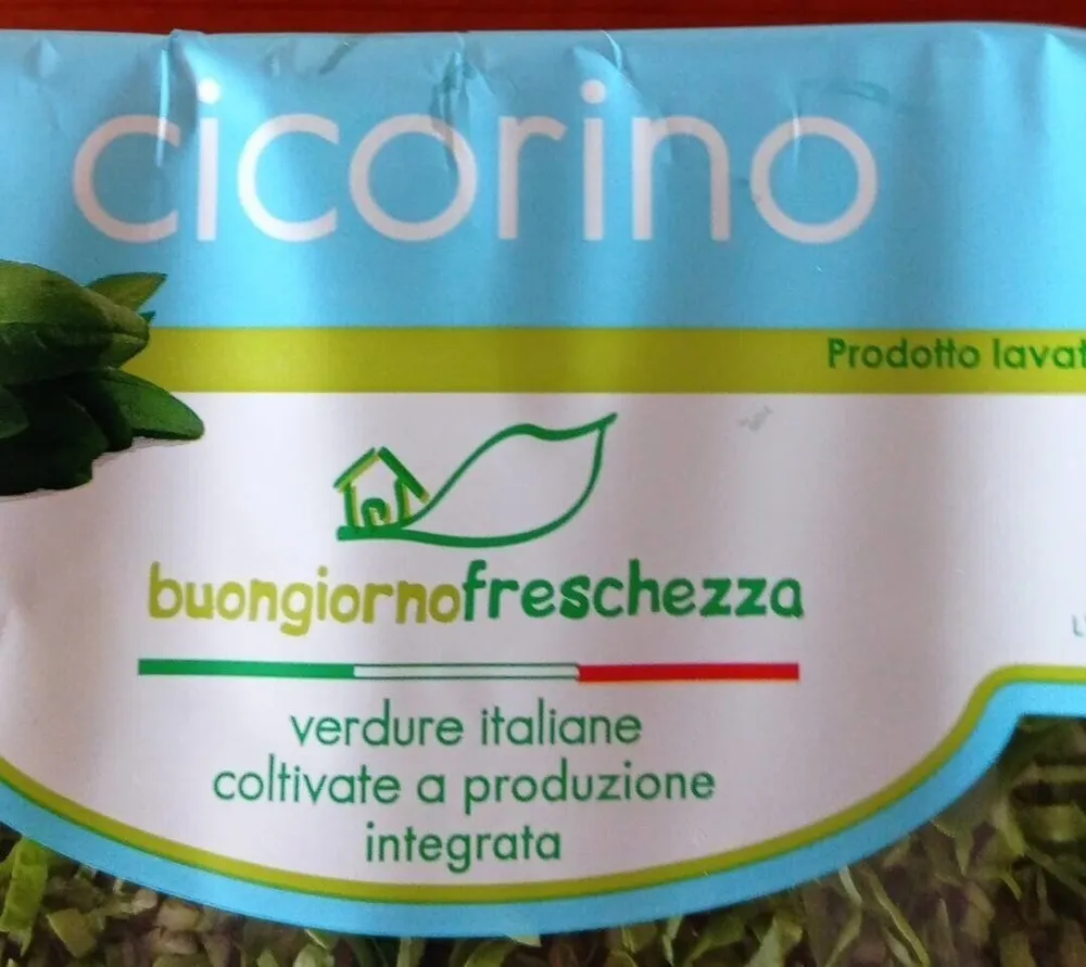 Cicorino