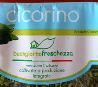 Cicorino