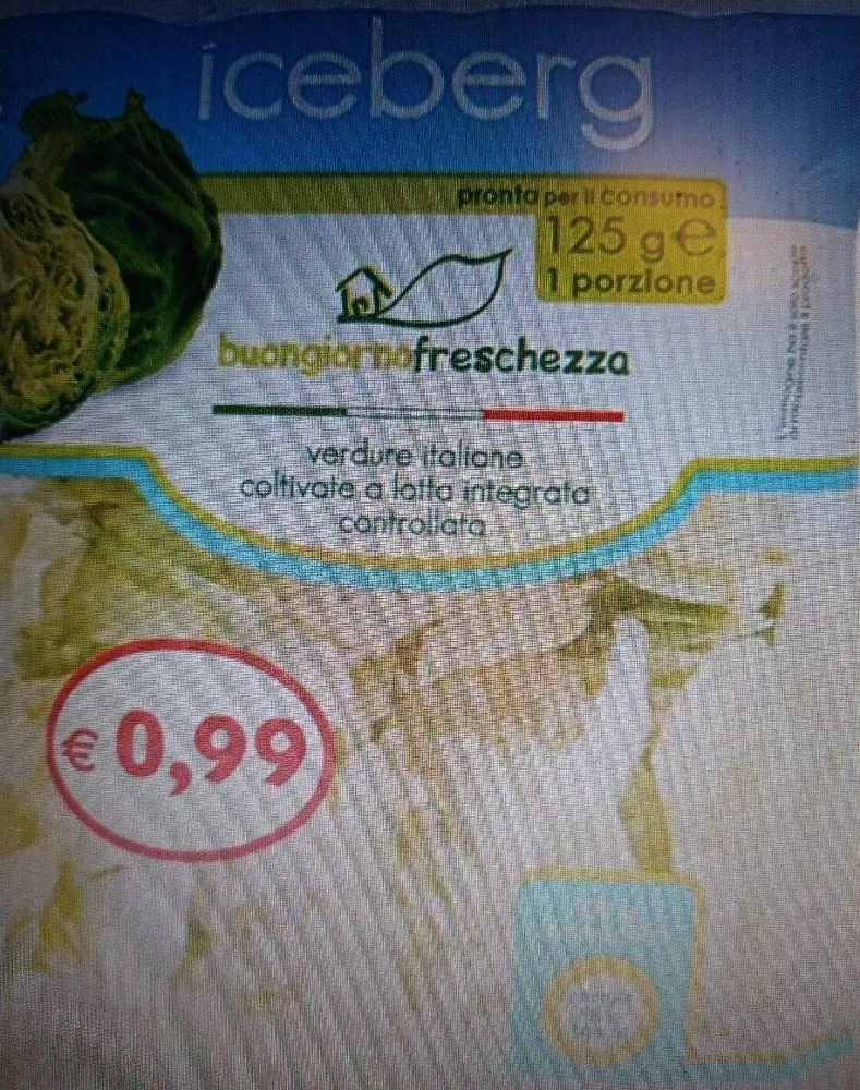 Iceberg