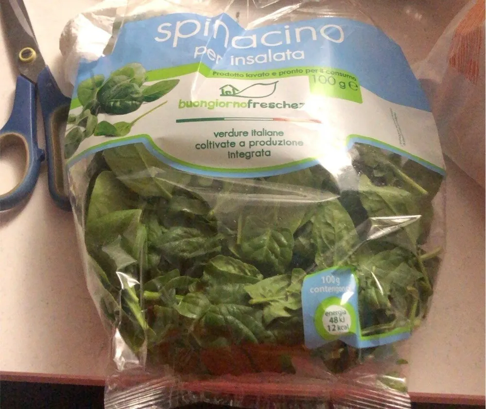 Spinacino