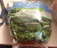 Spinacino