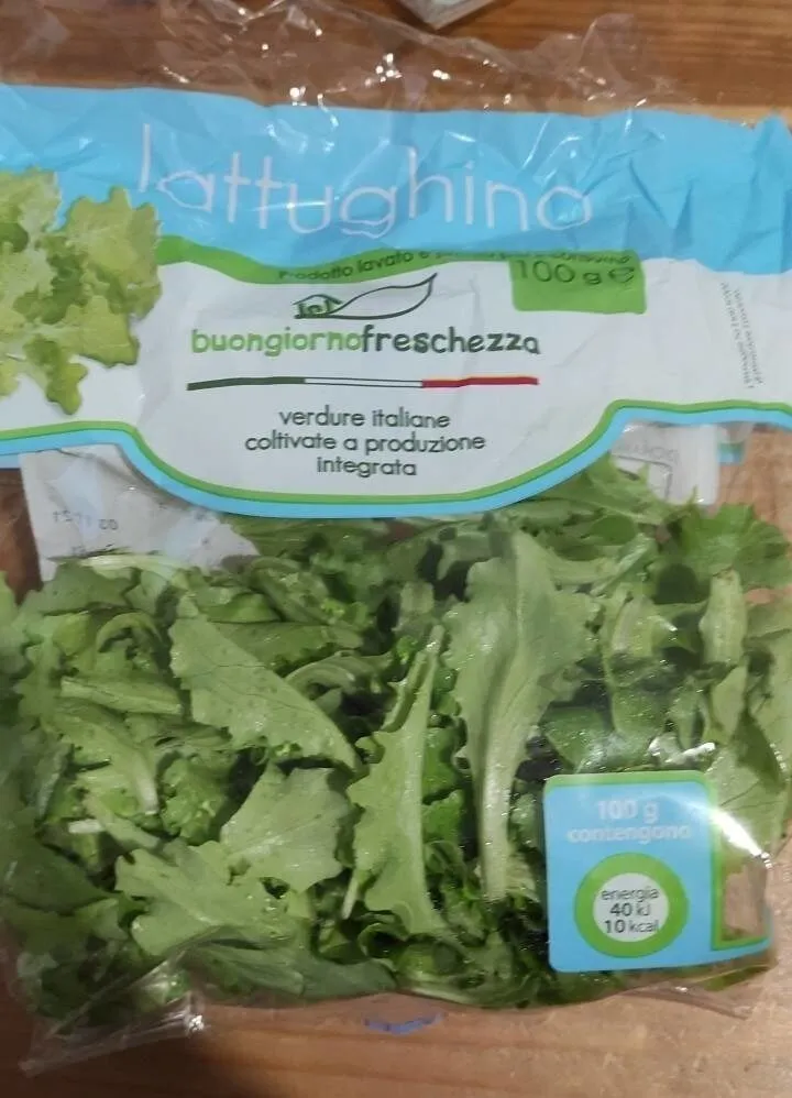 Lattughino