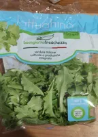 Lattughino