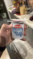 Yoghurt Origen