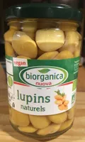 Lupins