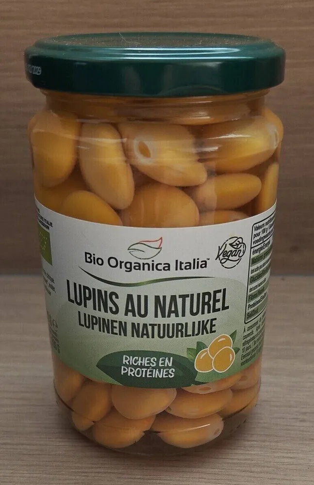 Lupini