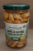 Lupini