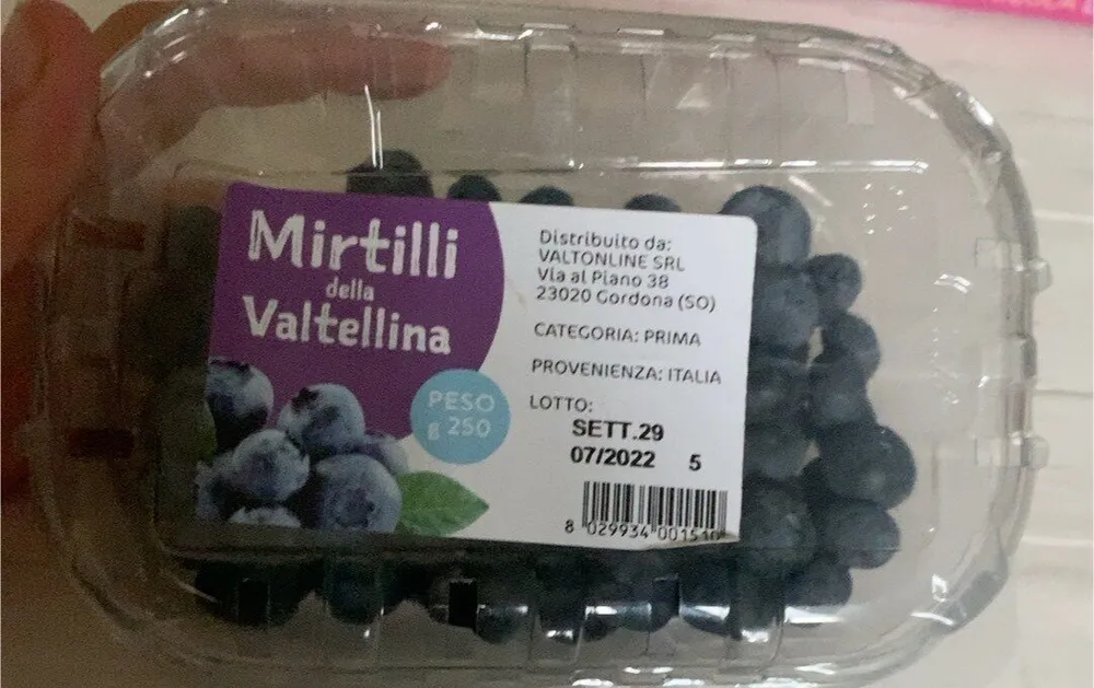Mirtilli della Valtellina