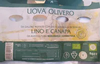 Uova