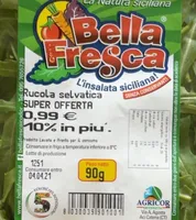 Rucola selvatica