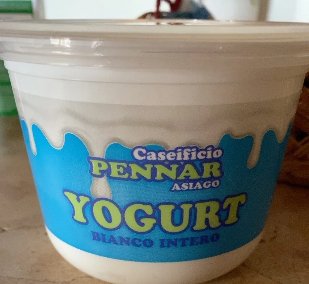 Yogurt bianco intero