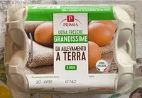 Uova Fresche Grandissime da Allevamento a Terra
