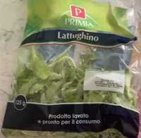 Lattughino