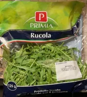 Rucola