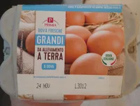 Uova grandi da allevamento a terra