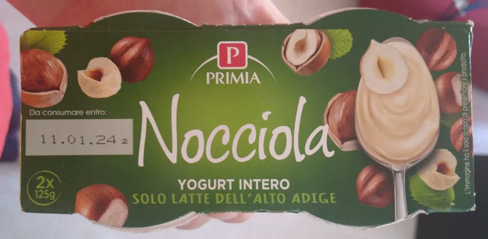 Yogurt intero nocciola