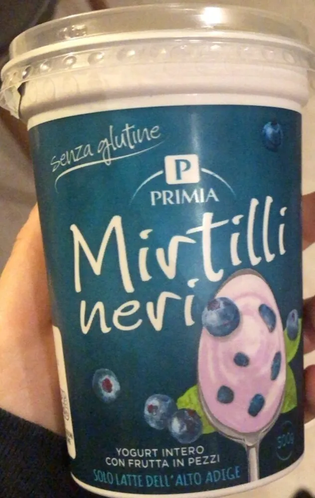Yogurt intero mirtilli neri