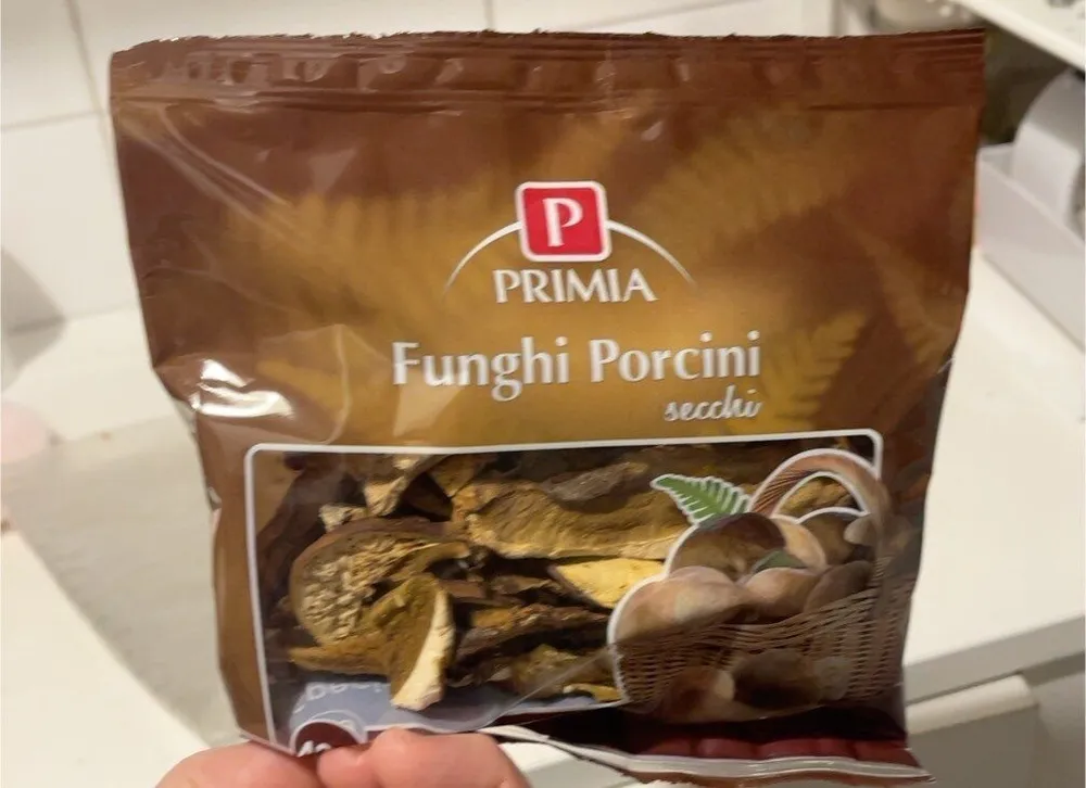 funghi porcini secchi