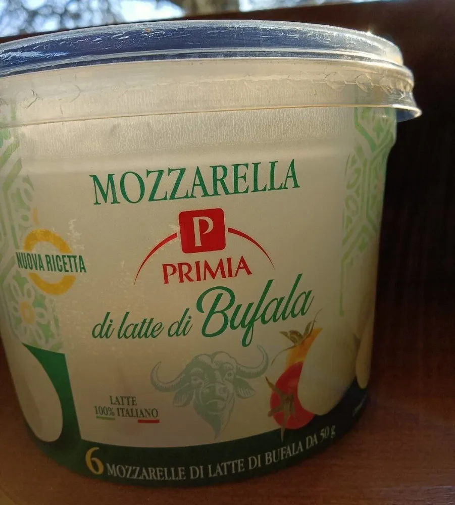 Mozzarella di latte di bufala